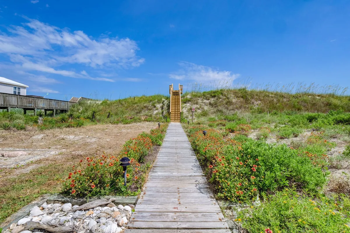 This image shows a wooden boardwalk leading through dunes adorned with vibrant flowers under a blue sky, inviting guests towards the beach. The stairs and sandy path are ideal for morning strolls and easy beach access, with plenty of space for walking dogs.